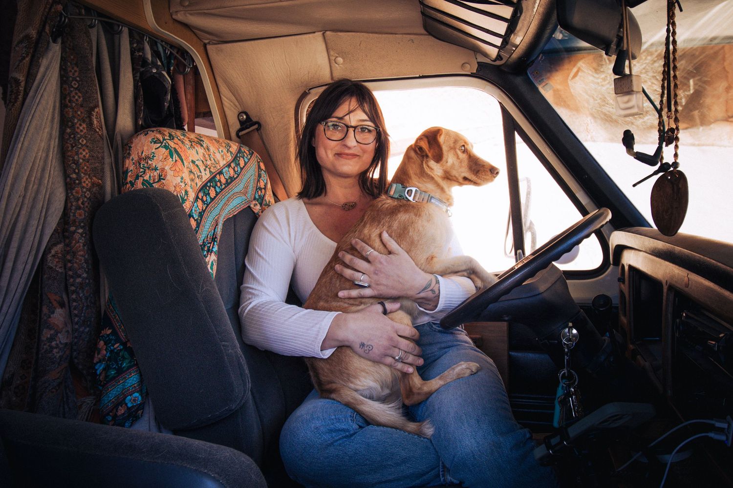 A compilation of images showing people helping a frightened dog adjust to riding in a car by offering comfort and treats.
