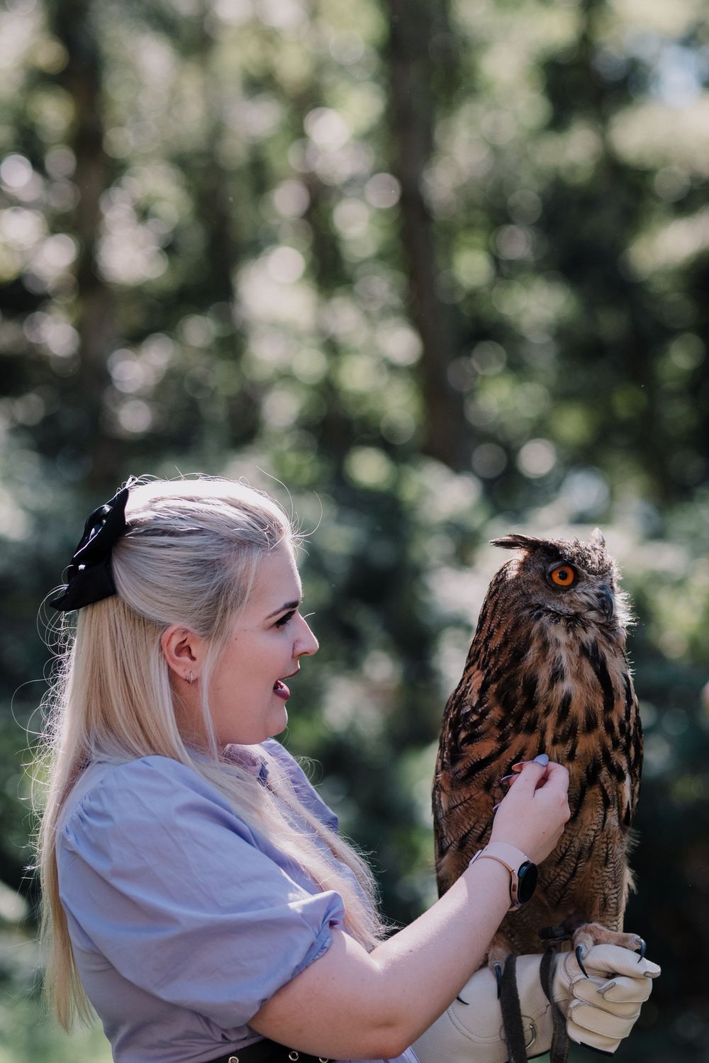 An Eurasian Eagle Owl perched on a falconer's glove in a forest setting, showing its distinctive orange-colored eyes.