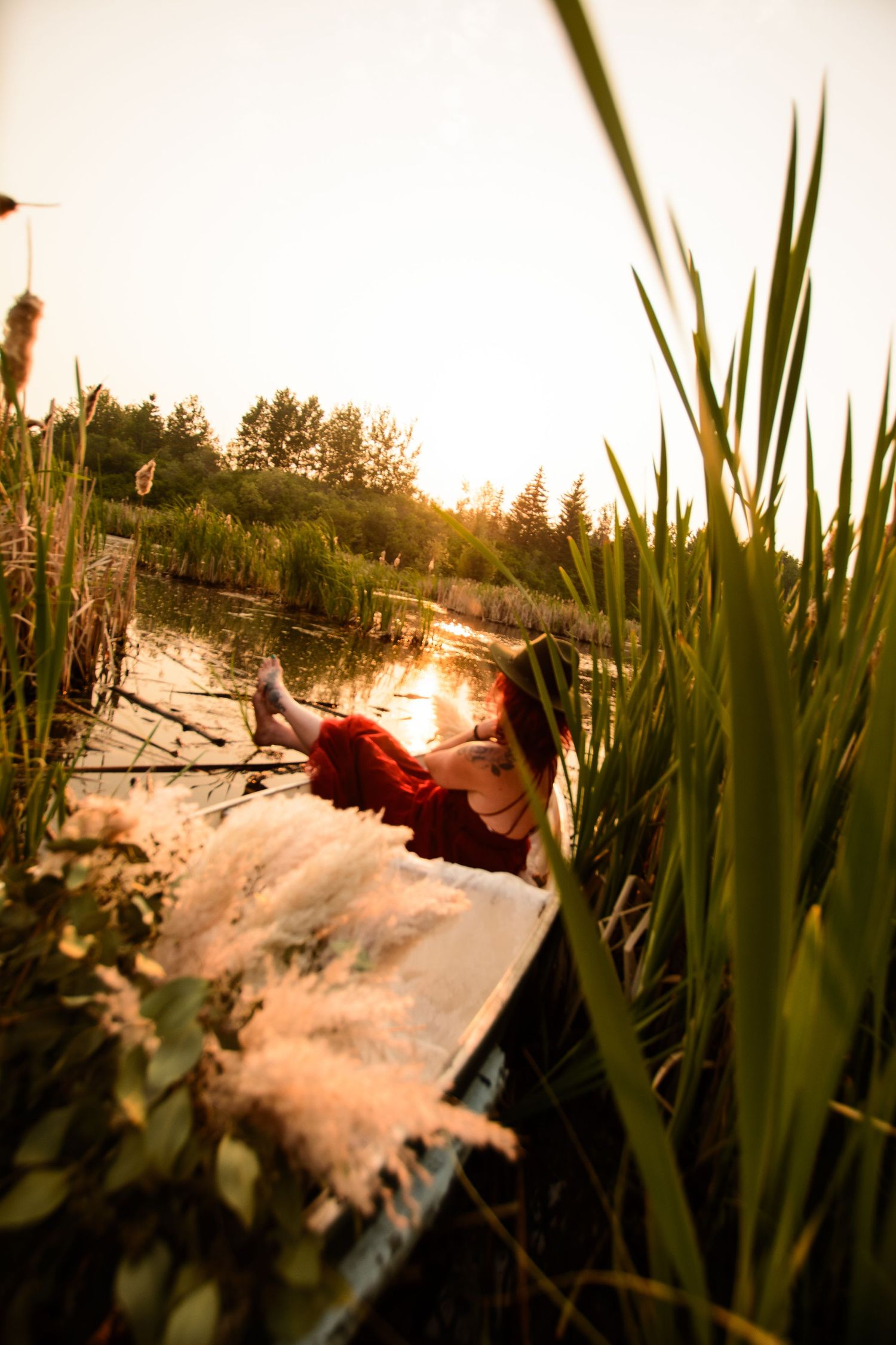 Scenic lakeside sunset view with tall reeds silhouetted against a glowing golden sky reflected in calm waters.