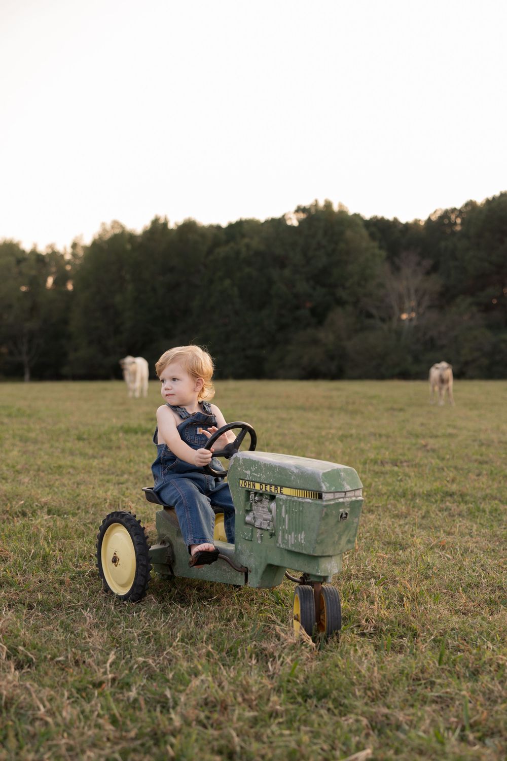 A child sits on a vintage green John Deere pedal tractor in a grassy field during golden hour.