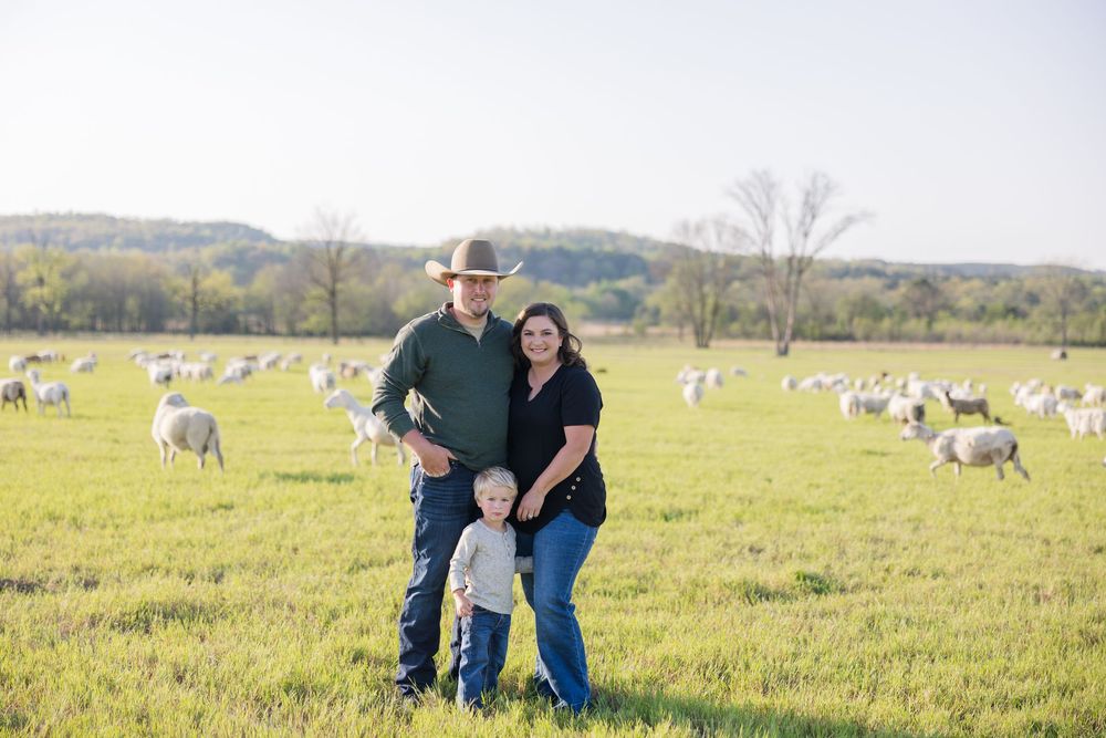 Couple standing together in a green pasture with grazing sheep scattered across rolling hills on a sunny day.