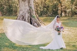 A bride in a flowing white wedding dress with a dramatically long veil stands by a large tree in a sun-lit garden setting.