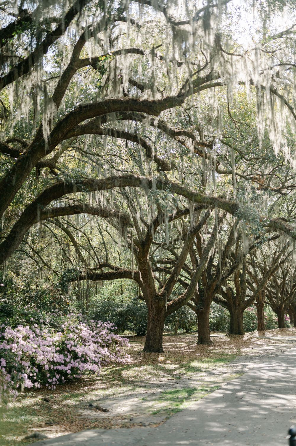 Legare Waring House wedding photos from a top Charleston wedding photographer. See more timeless and candid wedding photos Legare Waring