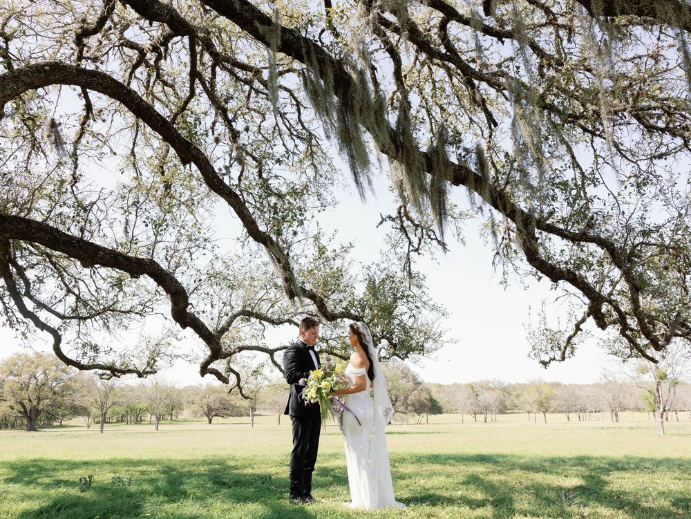 Newlyweds stand under a dramatic Spanish moss-covered oak tree in a sunny field.