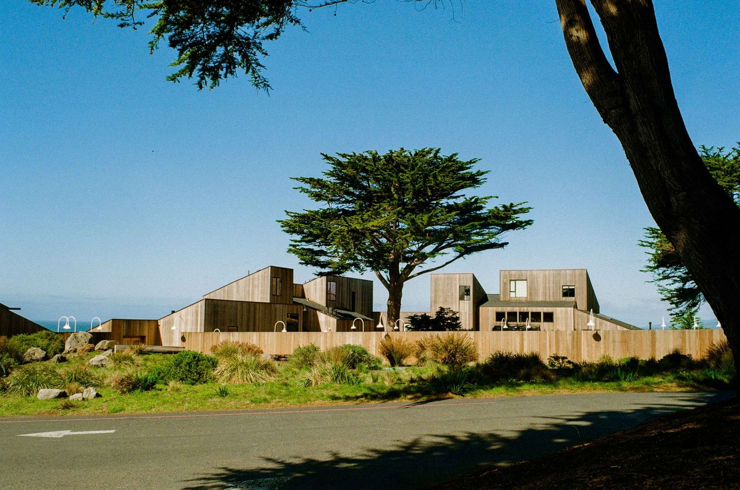 View of the Sea Ranch Lodge guest rooms and large cypress trees against the blue sky.