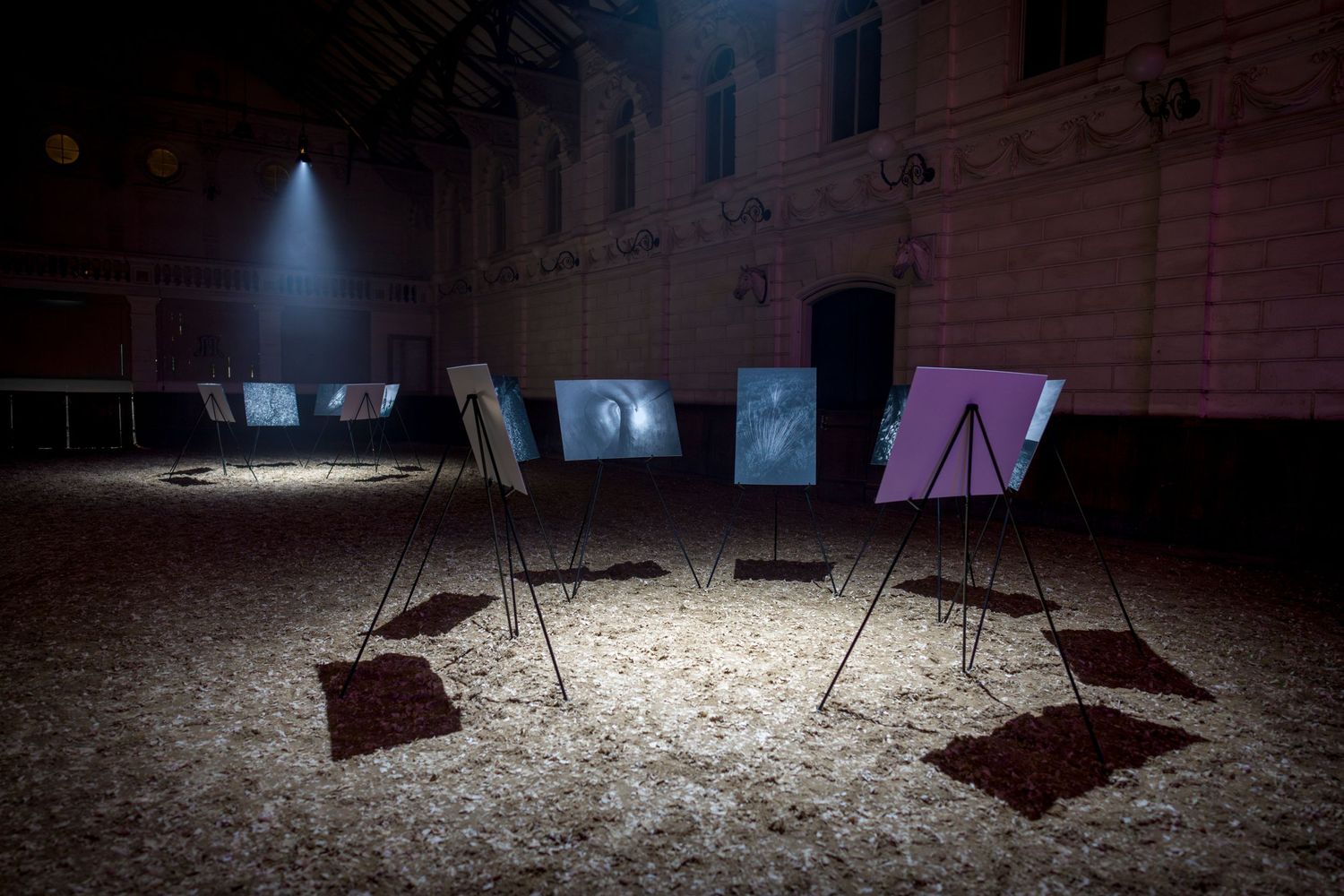 Minimalist art installation with screens and stands arranged in geometric pattern under spotlights.