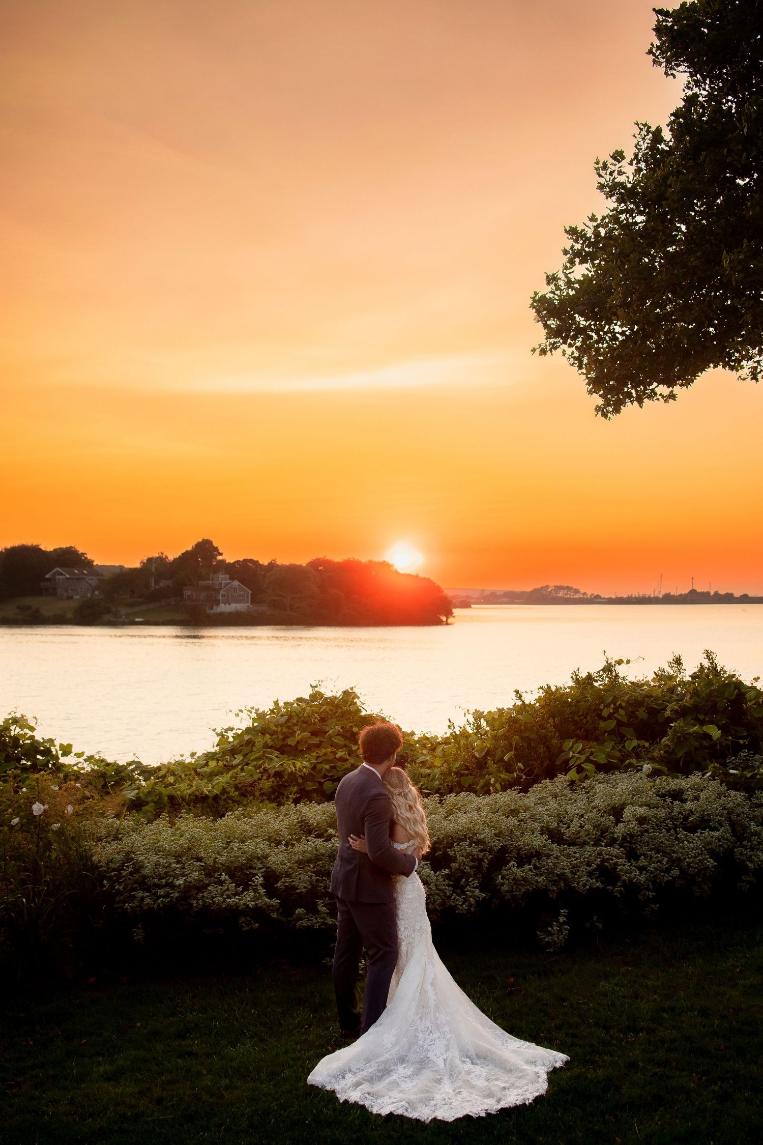 A romantic proposal scene set between rows of grapevines in a scenic vineyard with white flowers and a blanket.