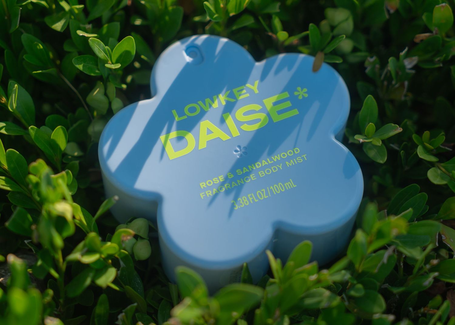 Lowkey Daisy Perfume