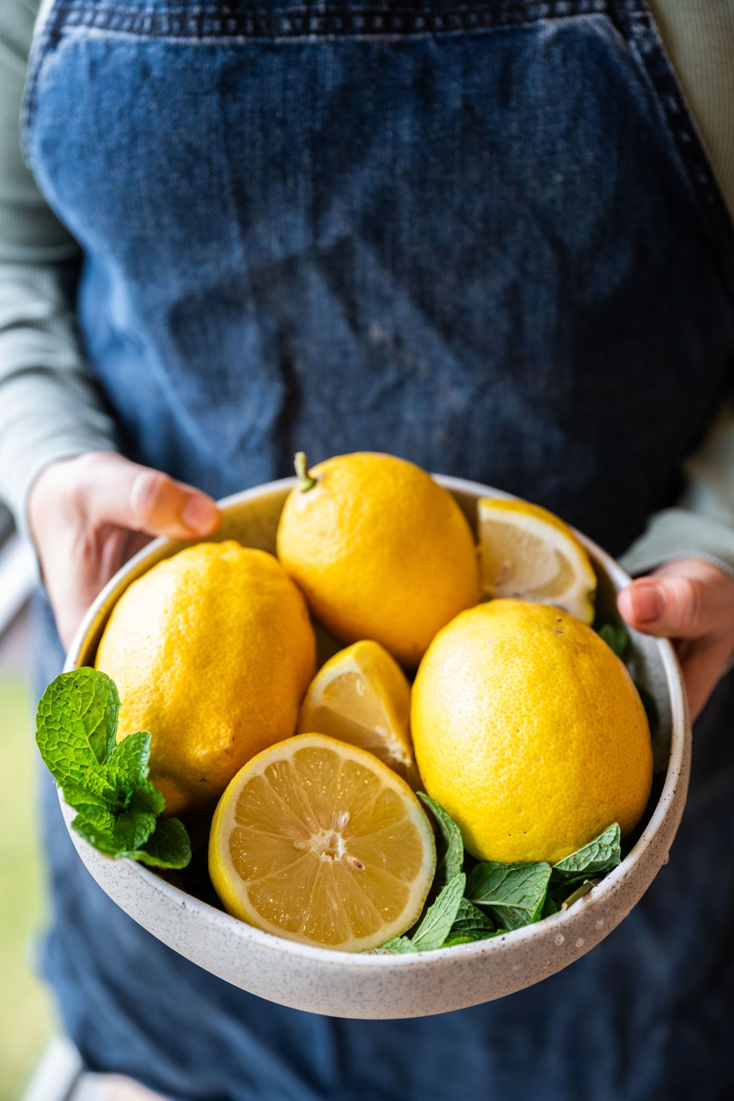 Bowl of fresh yellow lemons and mint leaves held by someone wearing a denim apron.
