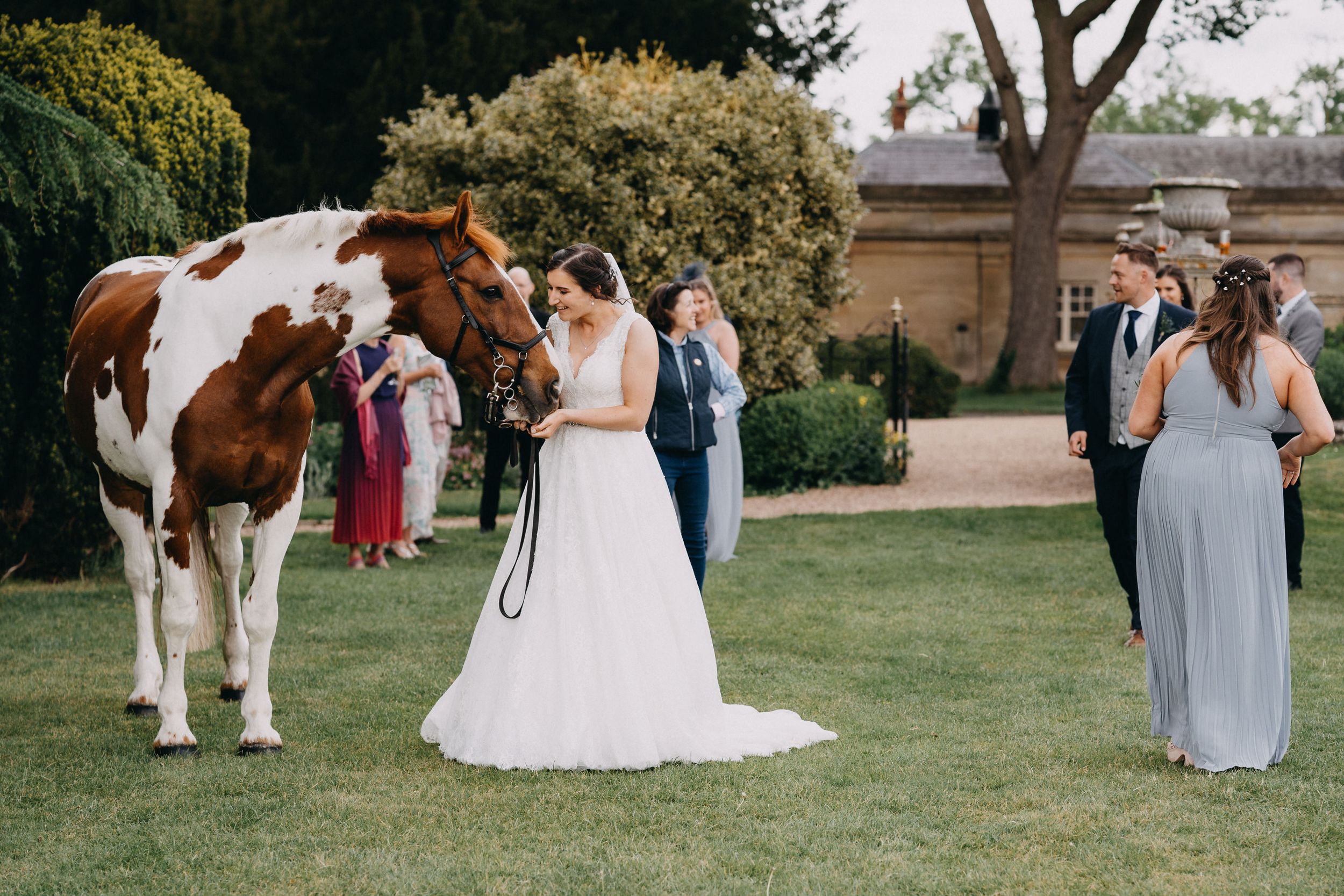 A brown and white paint horse stands with wedding attendees on a manicured lawn during an outdoor ceremony.
