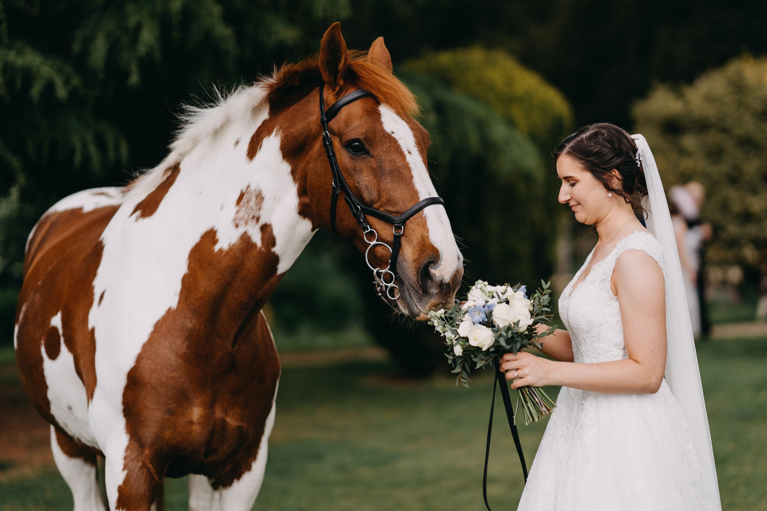 A beautiful paint horse stands next to someone in a white wedding dress holding a bouquet in an outdoor setting.