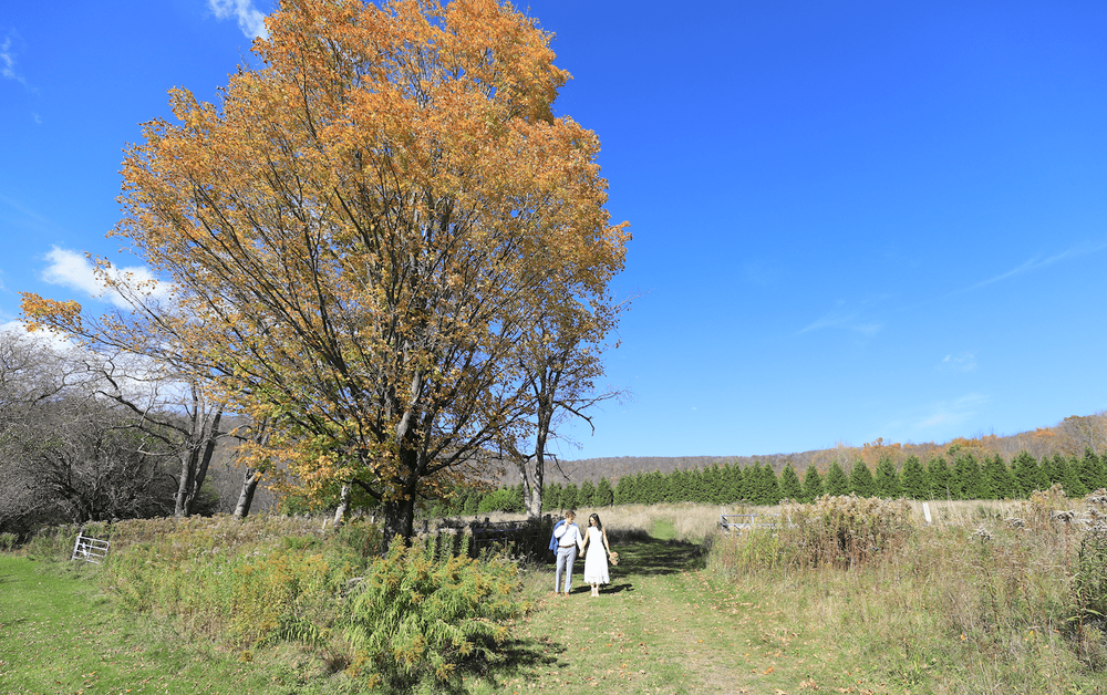Catskills mountain elopement couple in wedding attire in a fall scenery