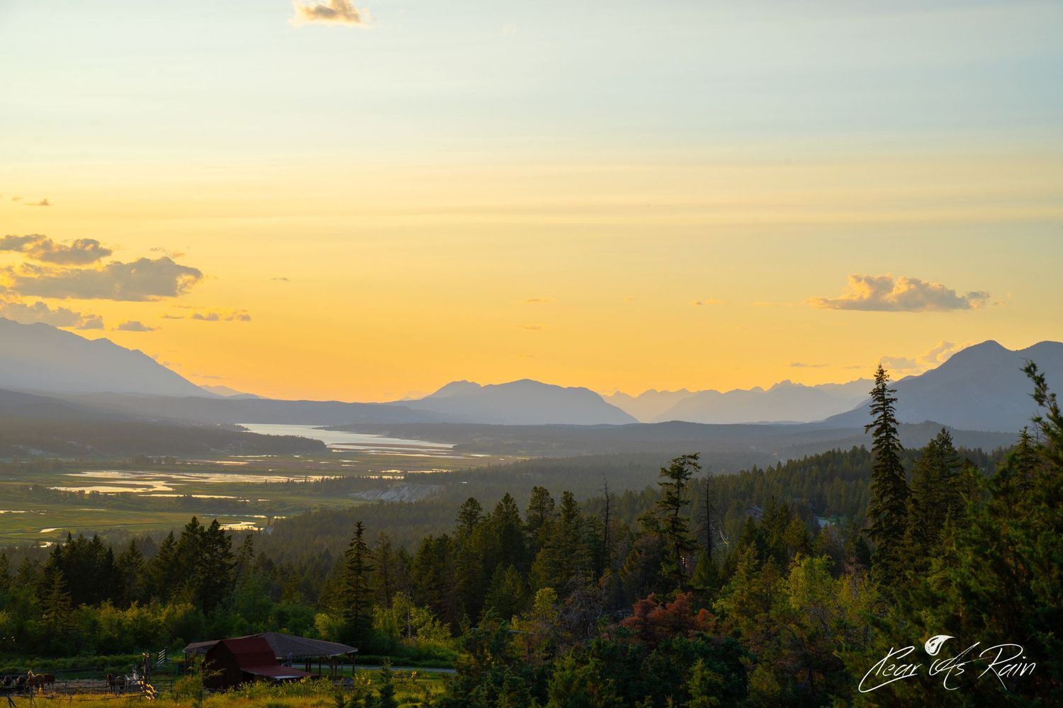 Golden sunset illuminates mountain valley with evergreen forest and distant peaks silhouetted against orange sky.
