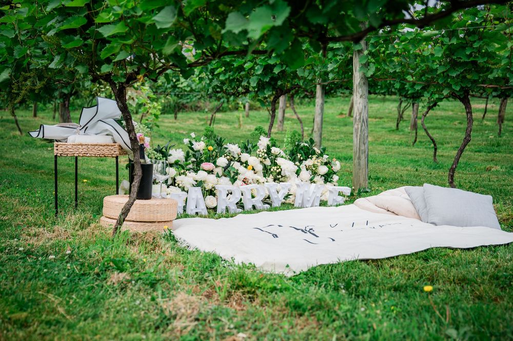 A long white wedding dress and veil trail elegantly across lush green grass in a romantic outdoor setting.