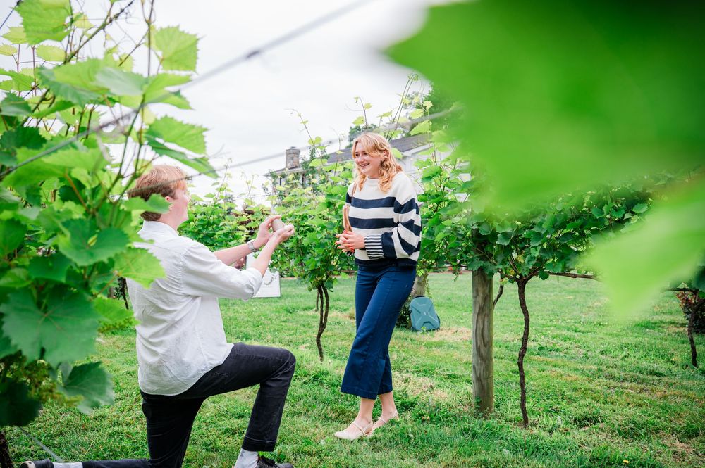 Holding hands and playfully walking together through a lush green garden on a sunny afternoon.