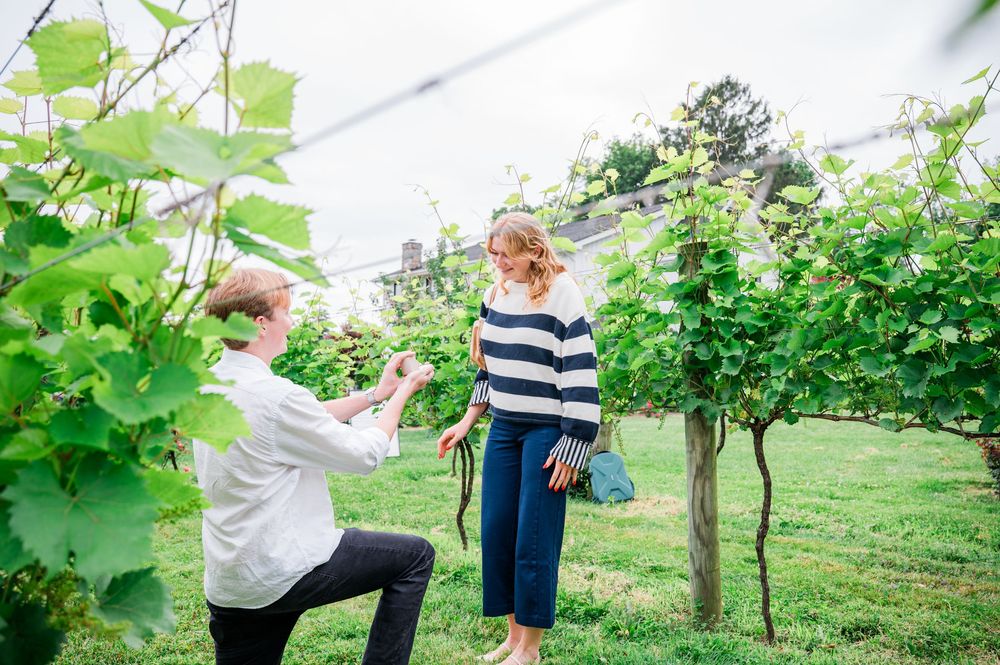 Two people tend to grape vines growing in a sunny garden with green foliage and grass.