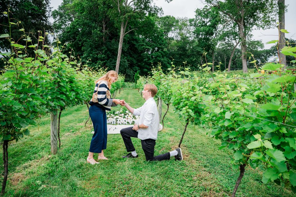 People gathering outdoors to plant trees and saplings in a lush green community garden environment.