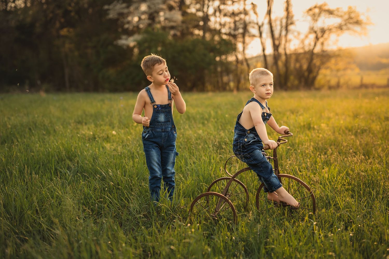 Children in overalls play together joyfully in a sunlit grassy field during golden hour.
