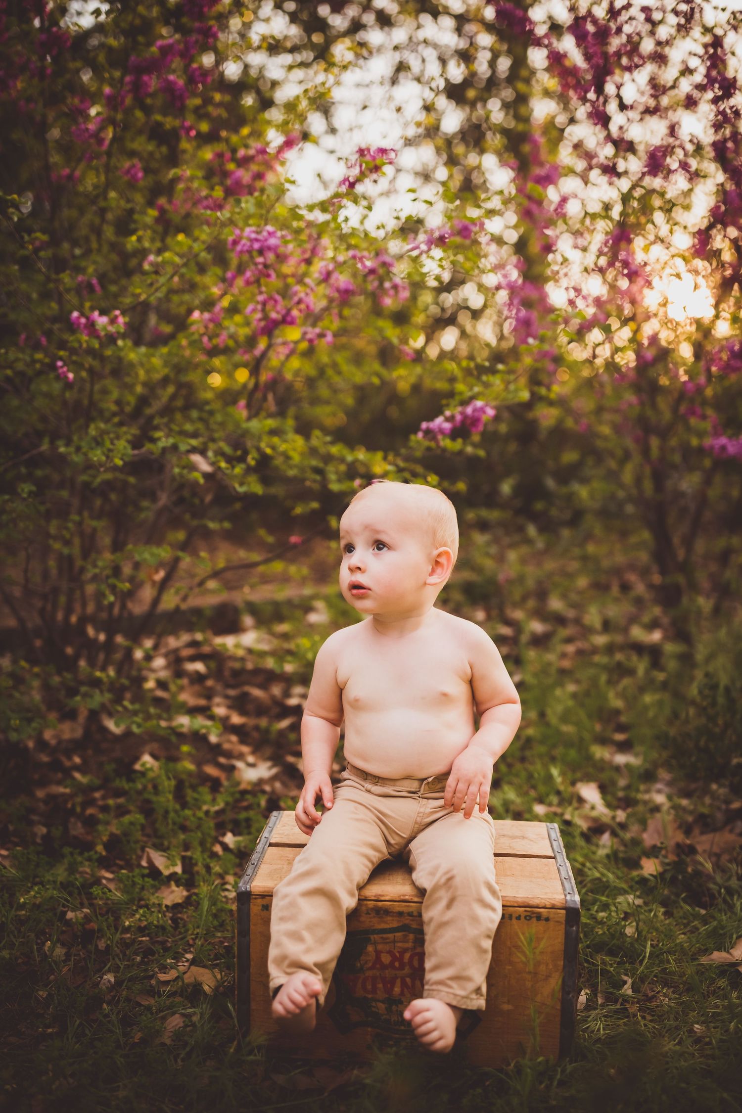 Rustic wooden crate sits among blooming pink flowers in a garden setting at golden hour.