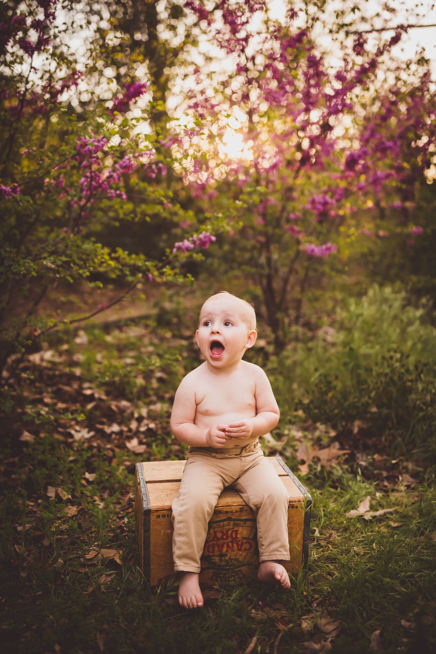 An excited baby sits on a wooden crate outdoors surrounded by blooming spring flowers.