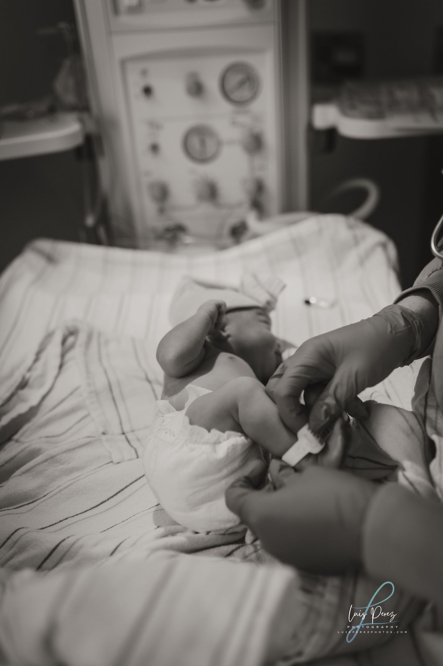 Black and white series showing a premature baby sleeping in an incubator in sequential photos from different angles.