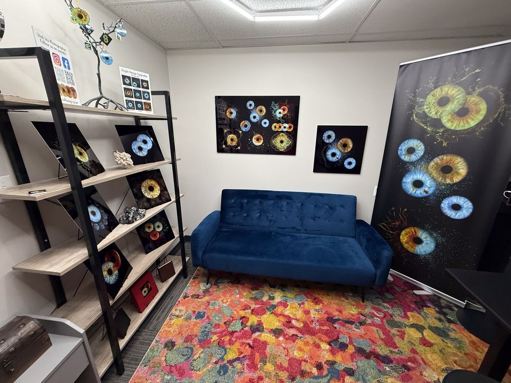 Modern room interior featuring a navy blue velvet sofa, abstract circular wall art, and a vibrant multicolored area rug.
