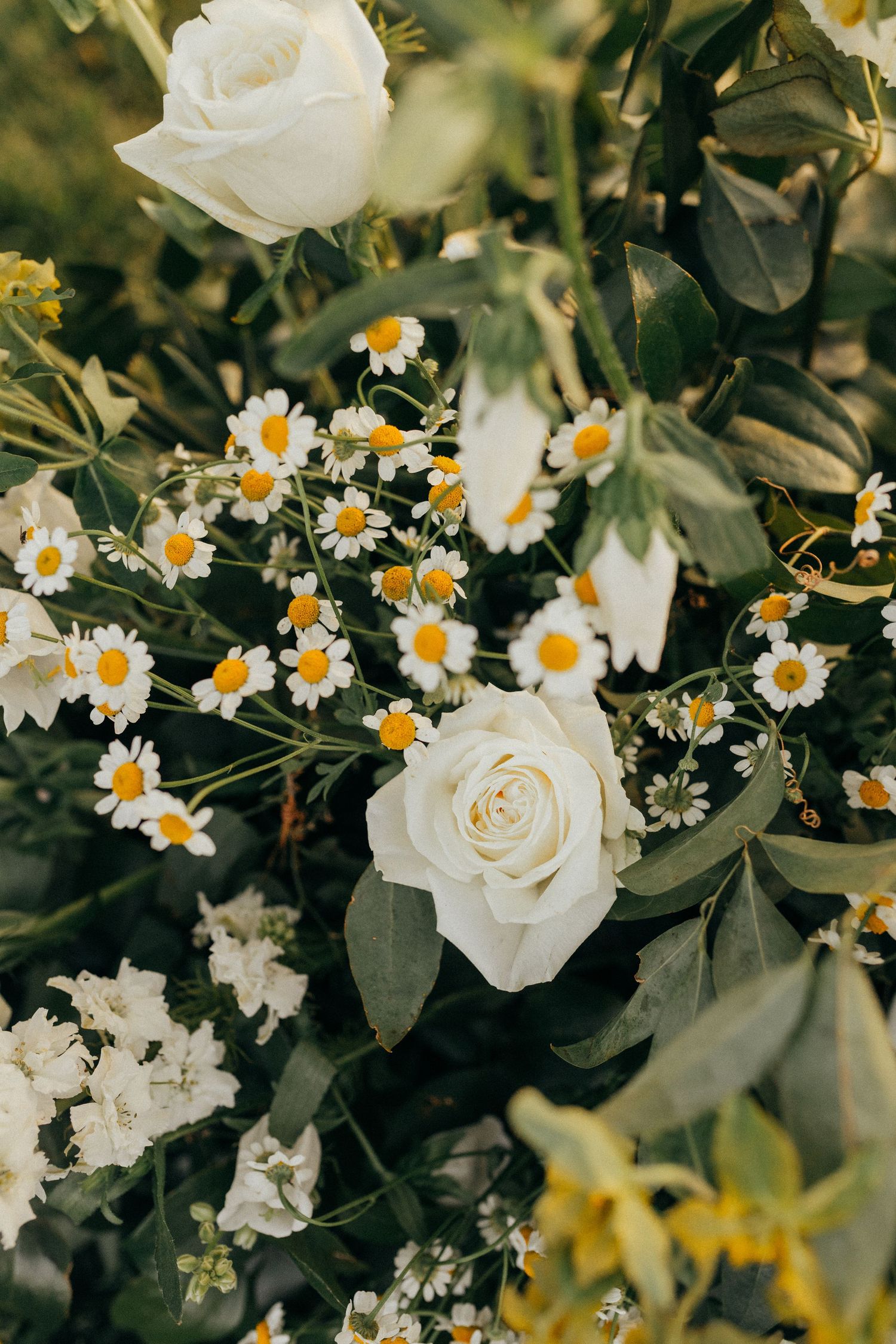 White roses and yellow wildflowers create a rustic floral arrangement with green foliage in a garden setting.