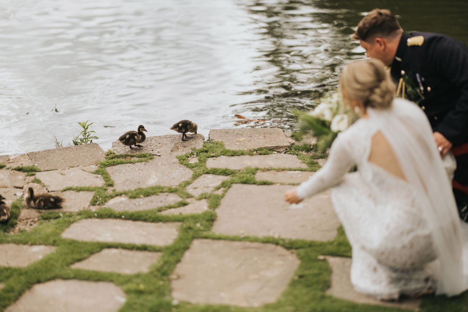 A couple in wedding attire shares a moment on stone steps by a pond while ducklings waddle nearby.