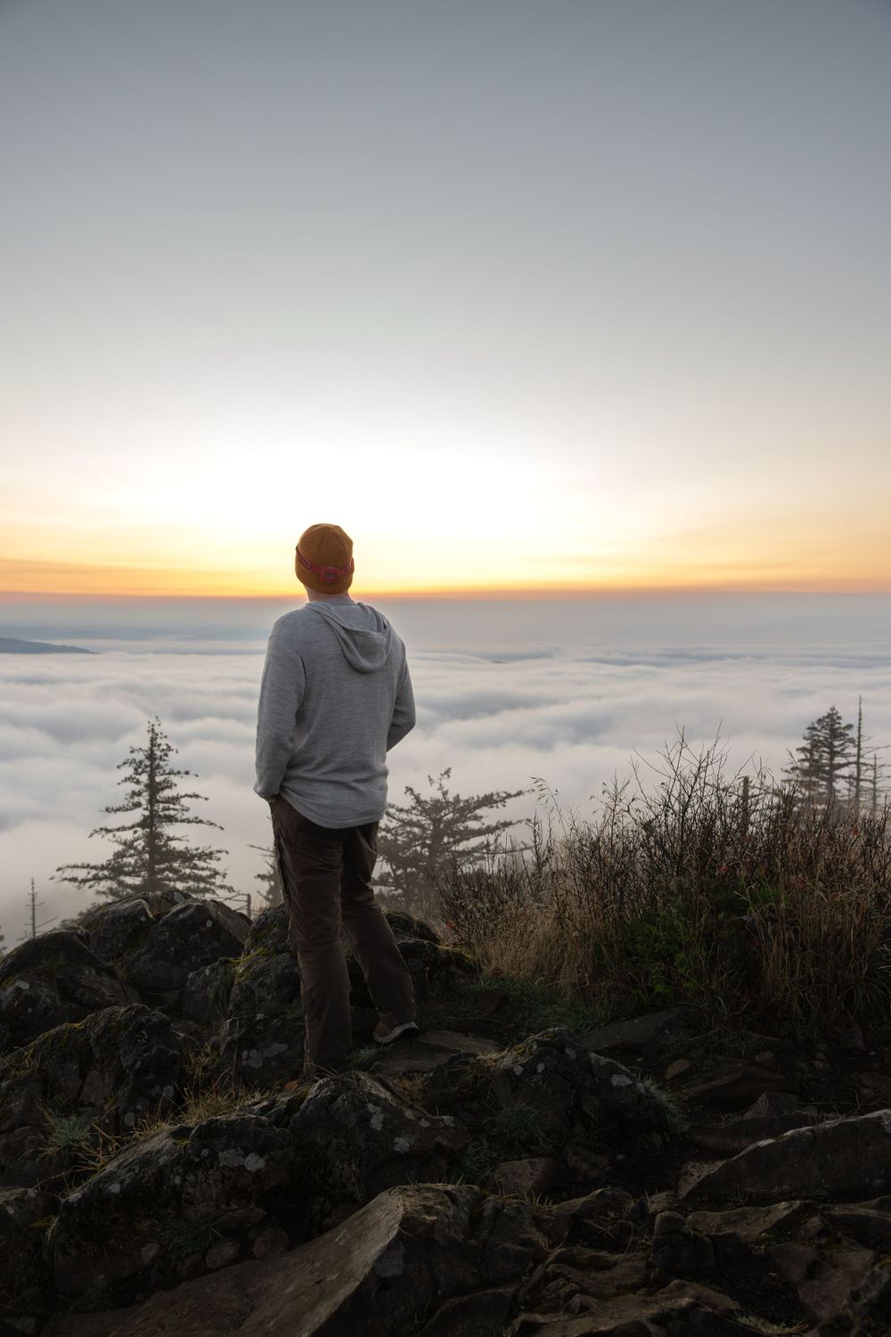 Silhouette of someone overlooking a sea of clouds at sunset from a mountain summit.