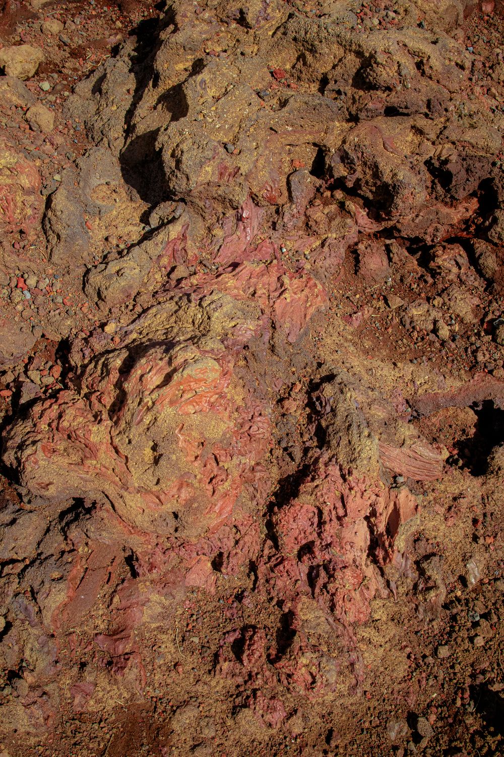 Close-up textured view of reddish-brown soil or rock with rough, uneven surface and mineral deposits.