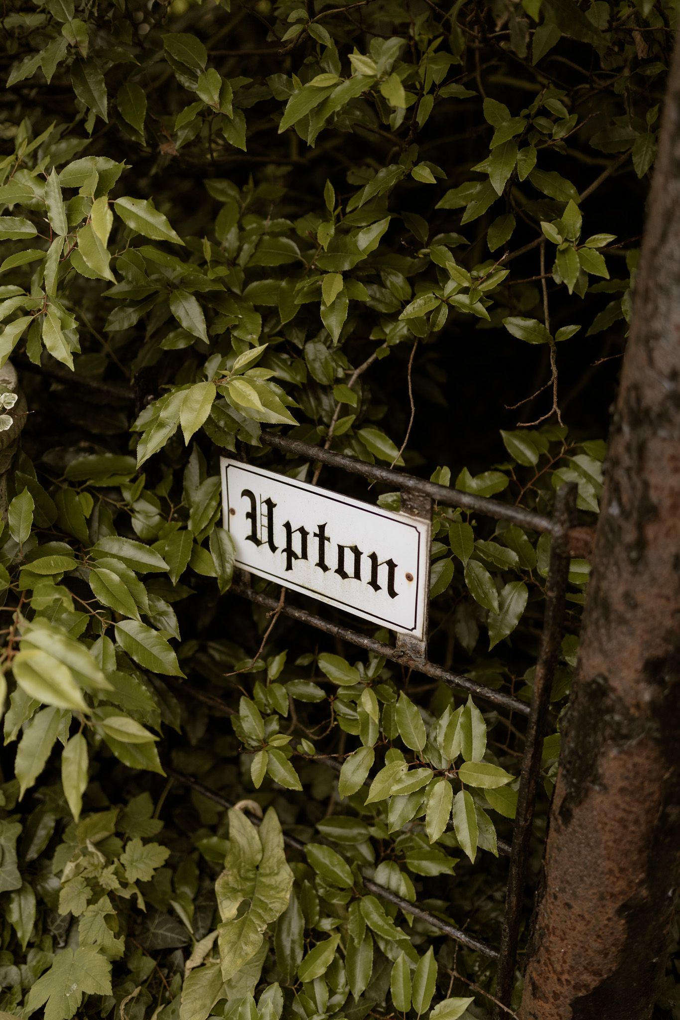 A vintage-style 'Upton' sign mounted among green leaves and foliage against a dark background.