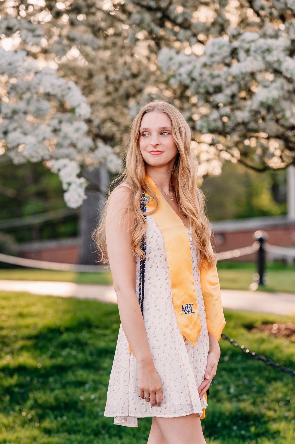 Spring portrait with blooming cherry blossoms, featuring a white lace dress and yellow sash against a sunlit garden backdrop.