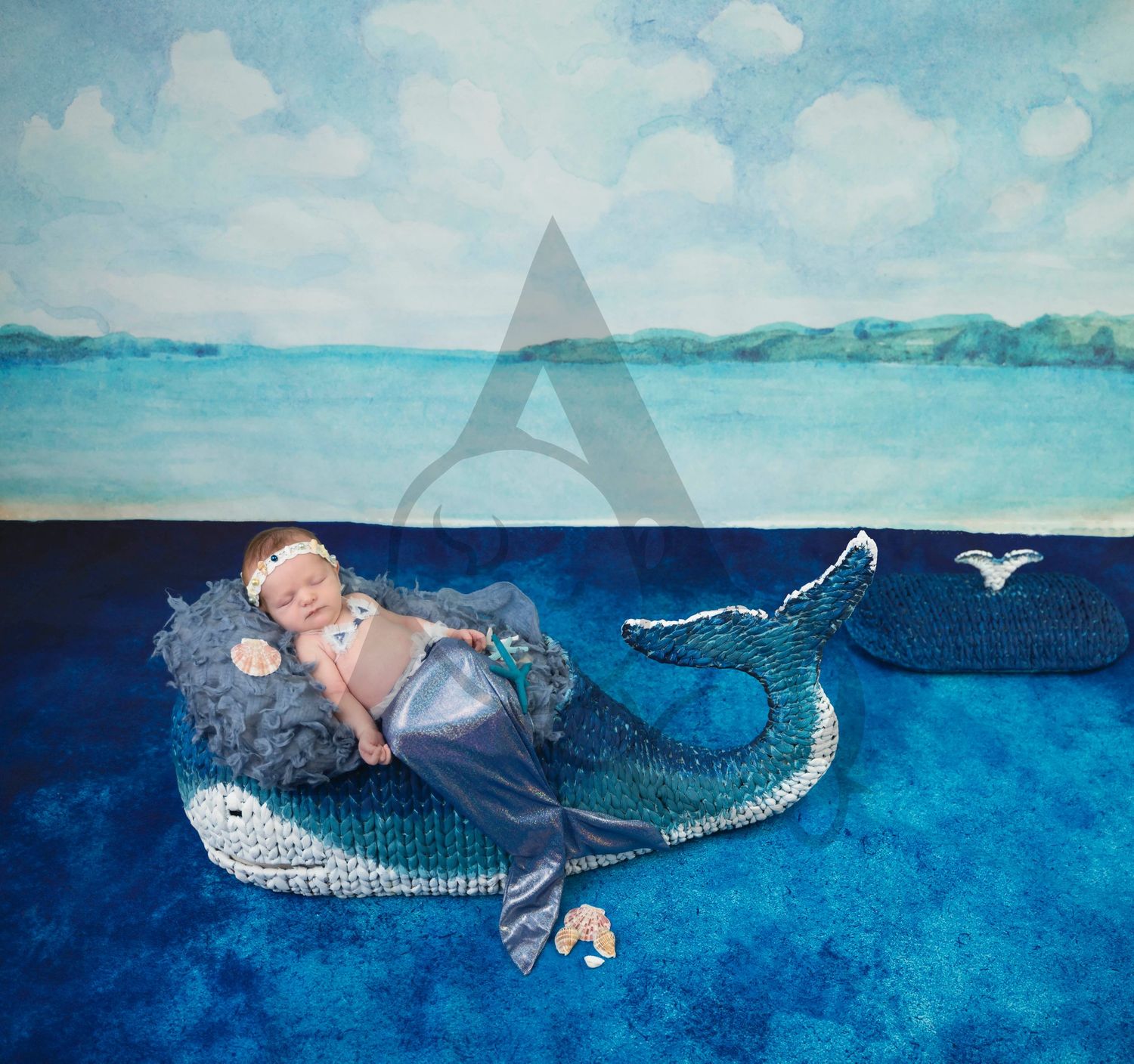Newborn Baby Posing on Whale
