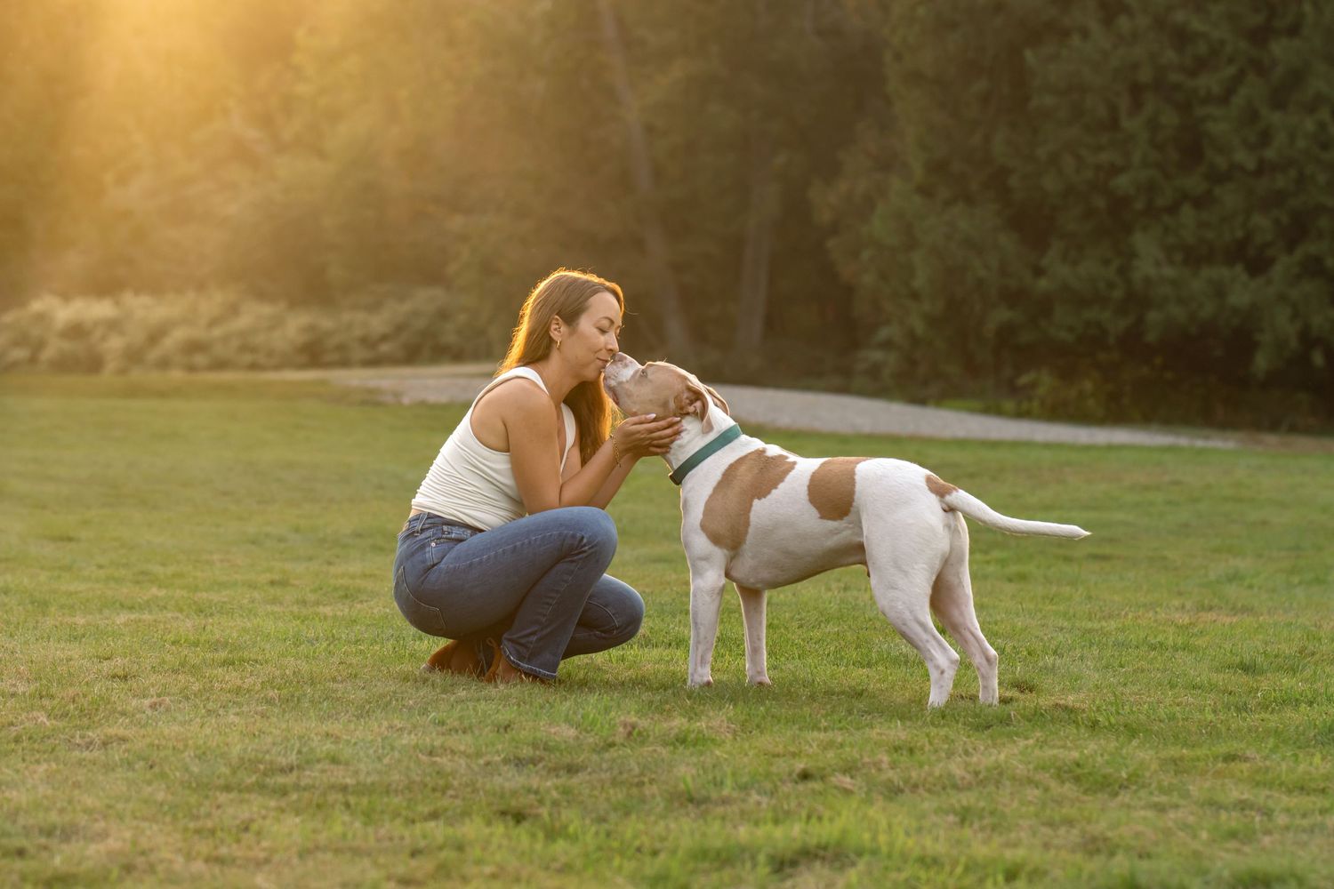 A person and white pit bull share a tender moment in a sunlit grassy field at golden hour.