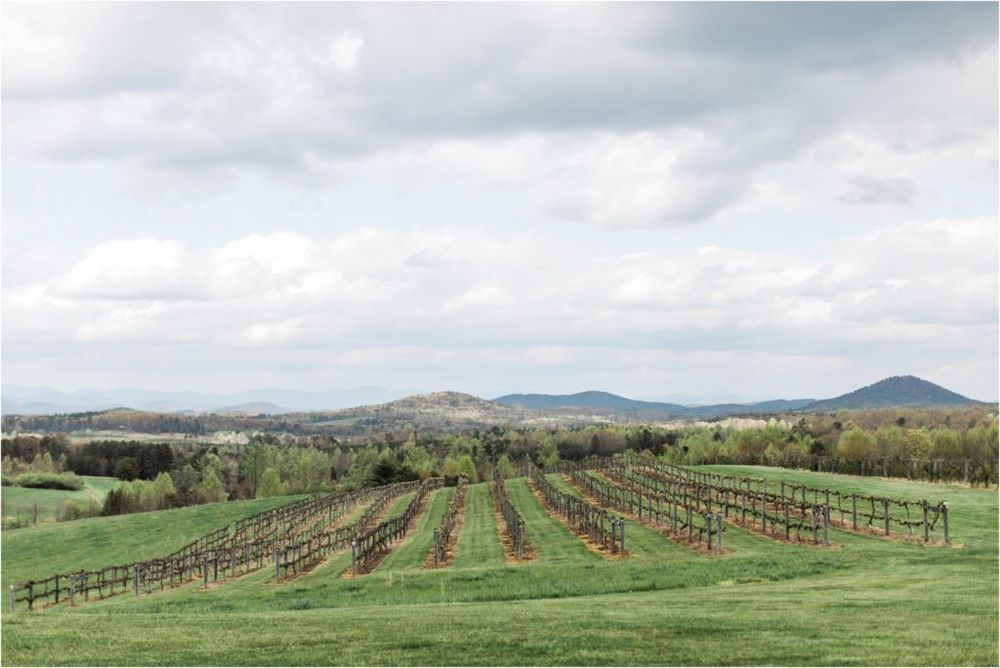 Rolling hills with vineyard rows and wooden fences stretch across a pastoral landscape under cloudy skies.