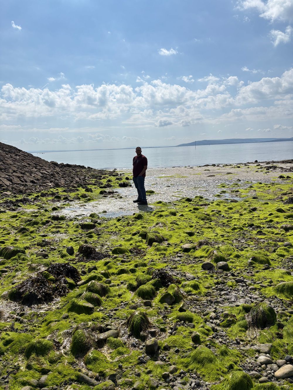 A silhouetted figure stands on a rocky shoreline covered in bright green moss with calm waters and distant hills visible.