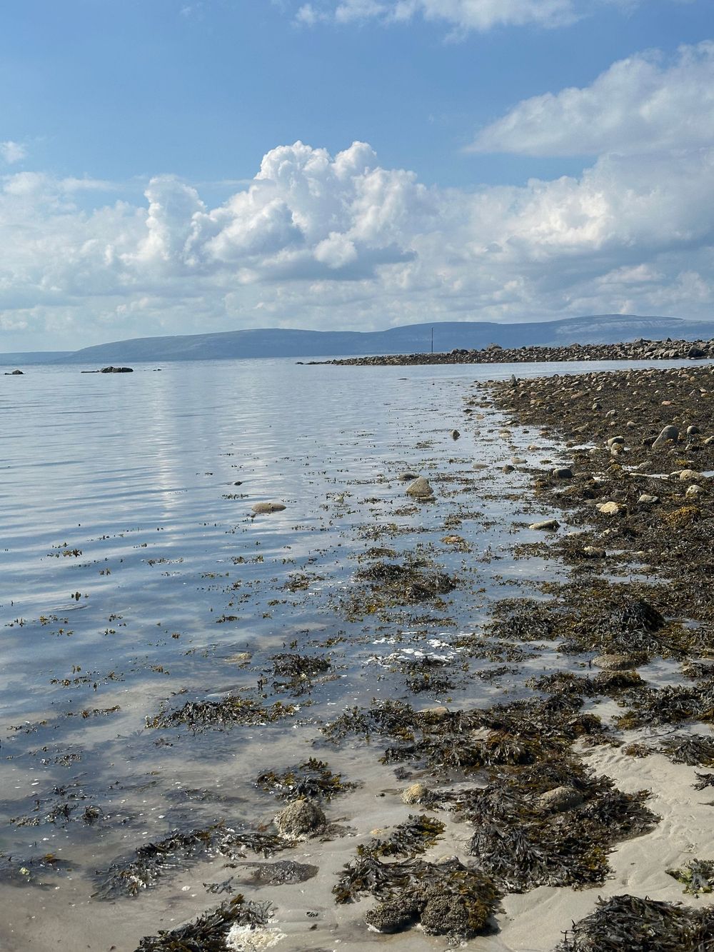 Scenic coastal landscape with rocky beach at low tide, mountains in distance and fluffy clouds reflecting in calm waters.