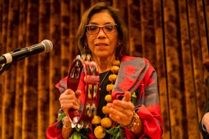 Performer with glasses plays traditional instruments while wearing colorful clothing on stage.