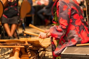 Close-up of performer in red plaid pattern playing percussion instruments during concert.