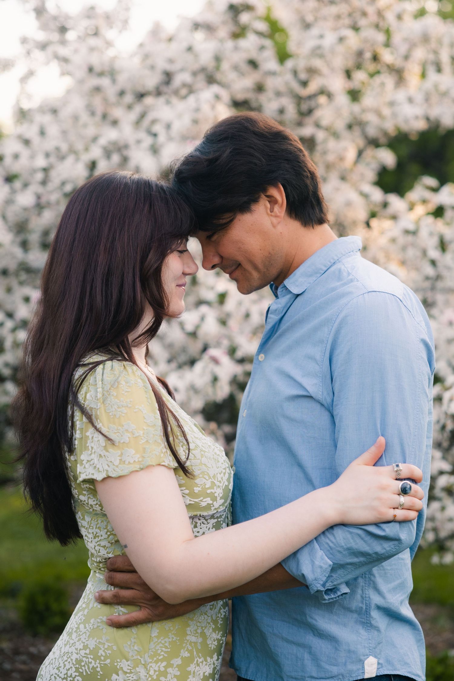 madison wi engagement couple photoshoot professional photographer spring uw arboretum cherry blossom trees lilacs middleton verona deforest