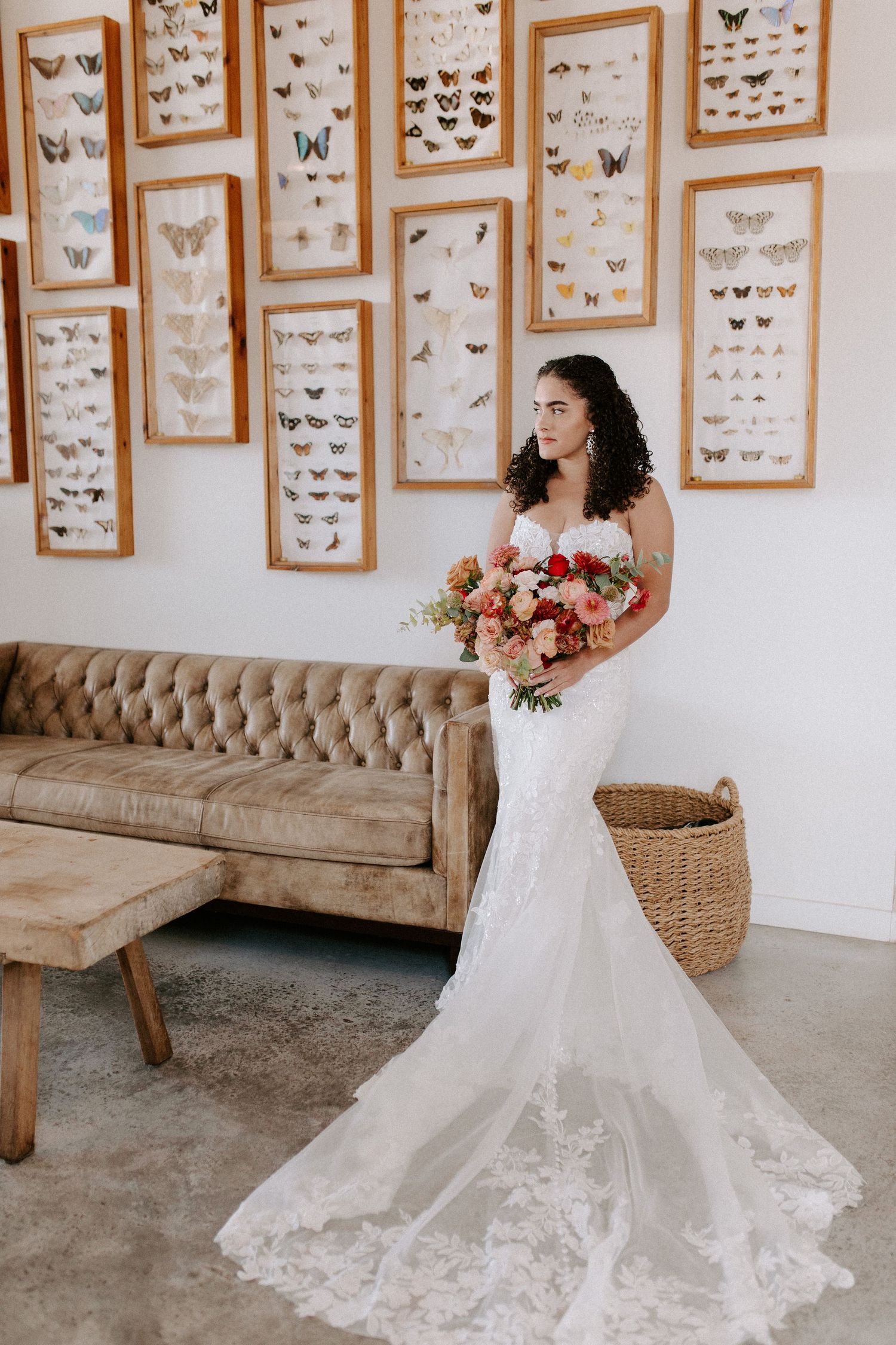 A bridal portrait showing an elegant lace wedding gown against a wall of framed butterfly specimens.