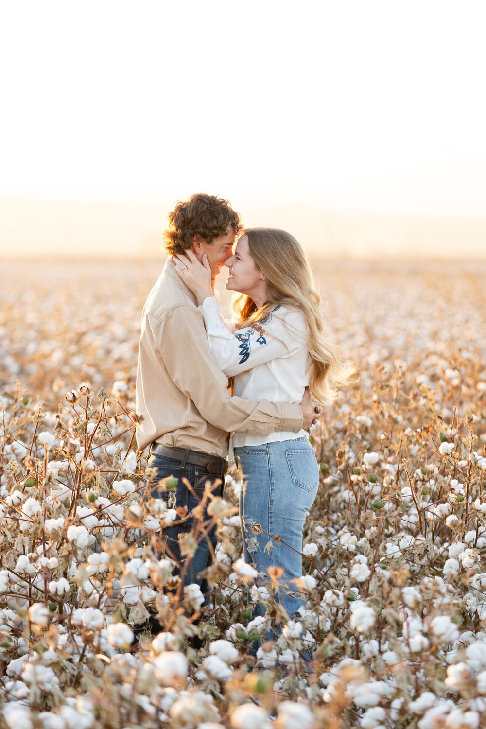 A romantic couple embraces in a cotton field during golden hour sunset.