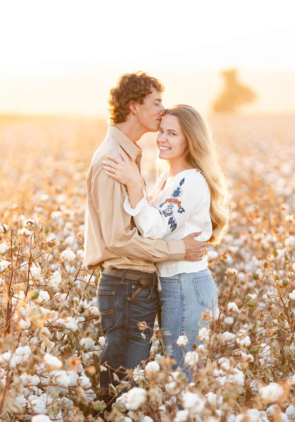 Romantic couple embraces among fluffy white cotton fields during golden sunset hour.