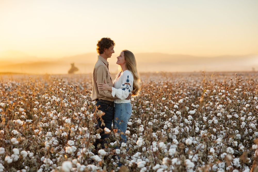 A tender moment between a couple standing among fluffy cotton plants at golden hour.