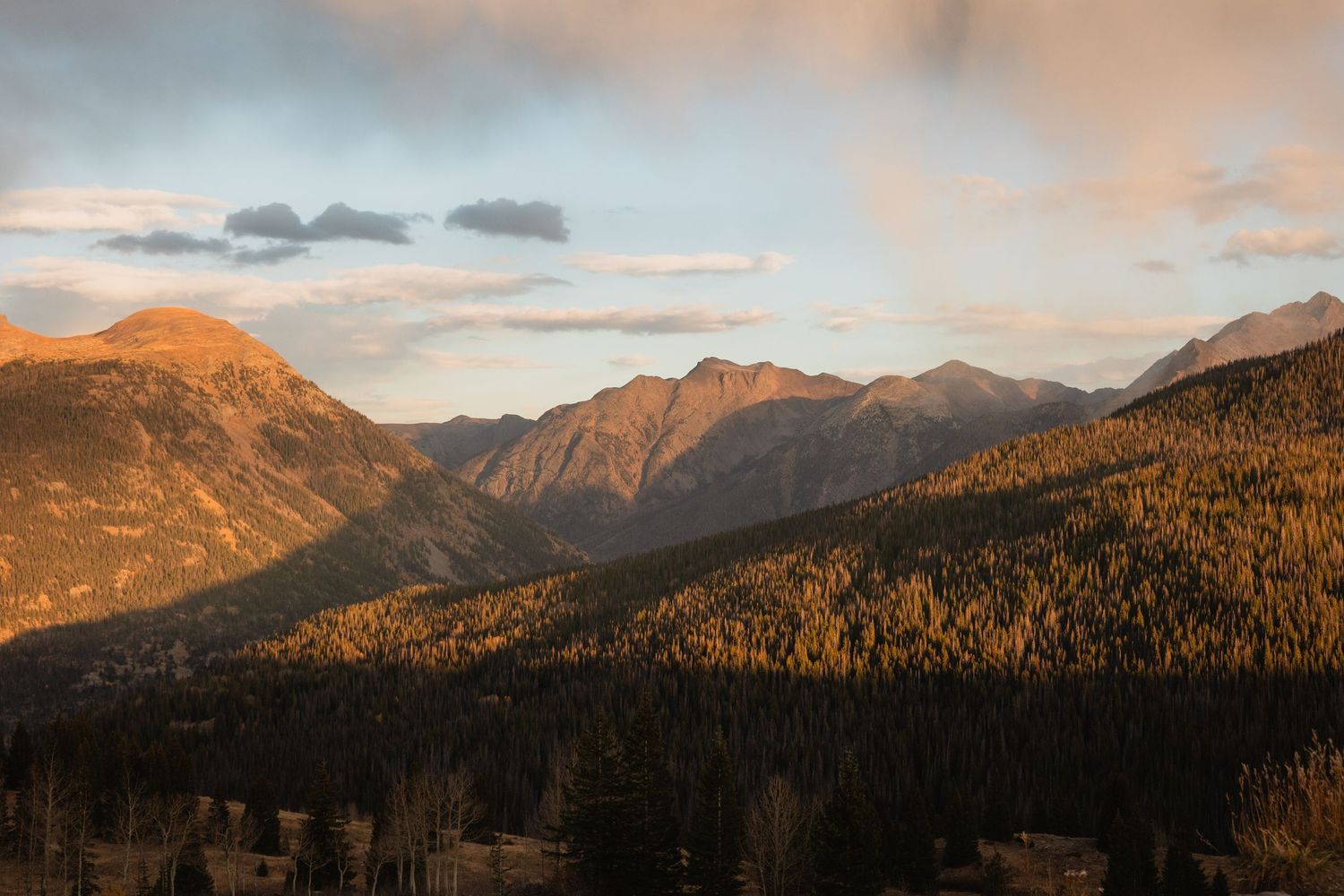 Mountain peaks glow golden in evening sunlight with dark forested valleys below against a dusk sky.
