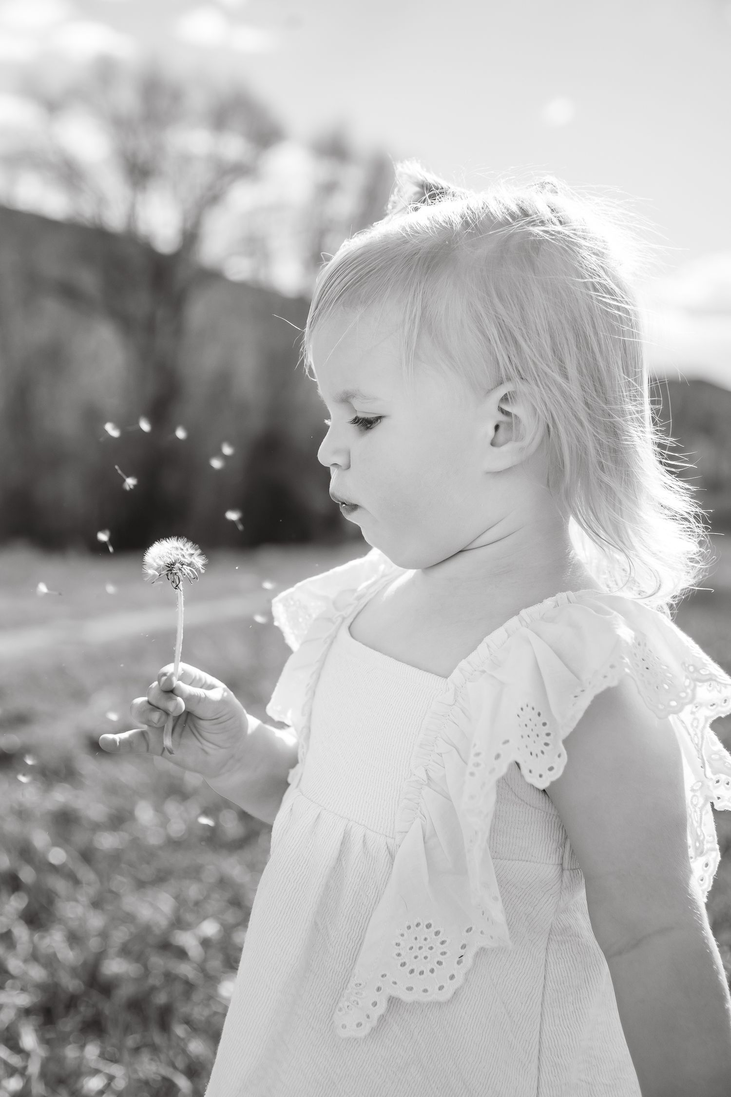 Vail Family Photographer