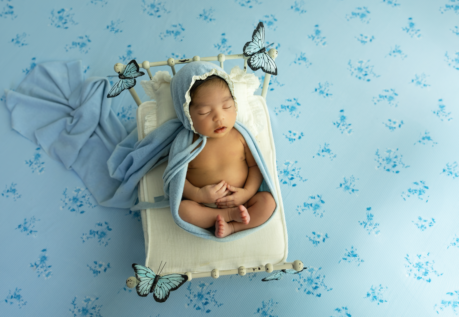 Newborn Photographer
Cake Smash Photographer
Milestone Photographer
Kentucky Photographer
Richmond Kentucky
Berea kentucky
Lexington KY