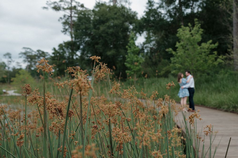 Orange wildflowers bloom along a wooden boardwalk trail through green foliage on a cloudy day.