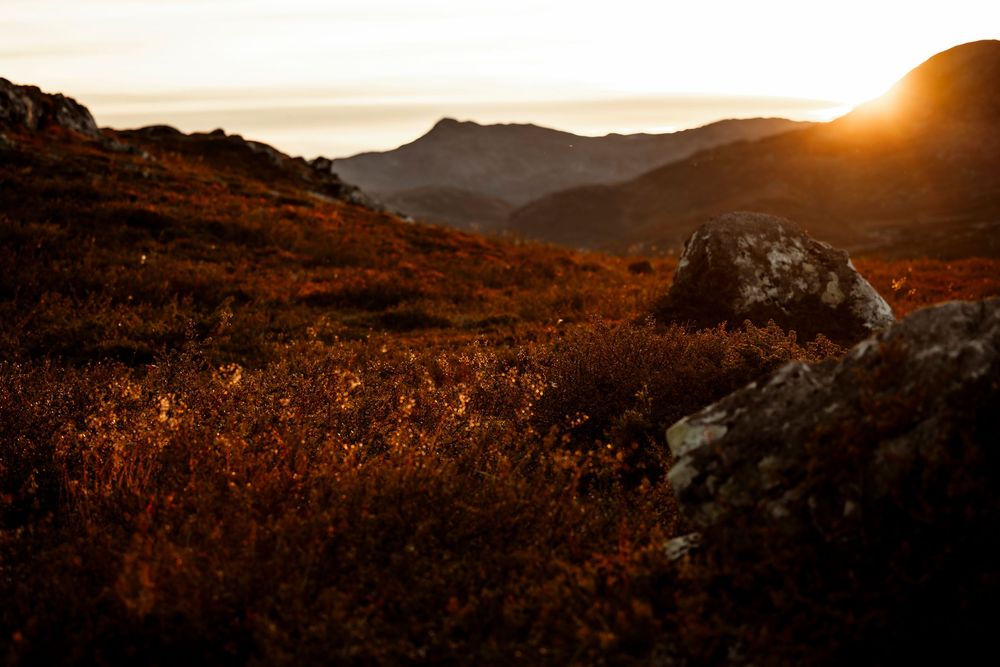 Golden sunset illuminates a rugged mountain landscape with rusty autumn vegetation and rocky outcrops.
