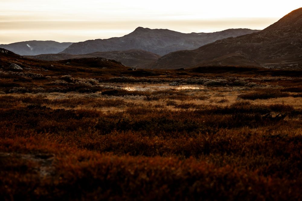 Rugged mountain landscape at dusk with golden brown moorland stretching into the distance under a moody sky.